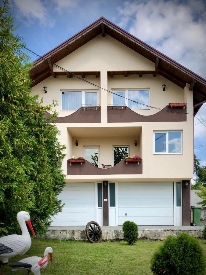 Casa Paunescu Milostea Exterior photo